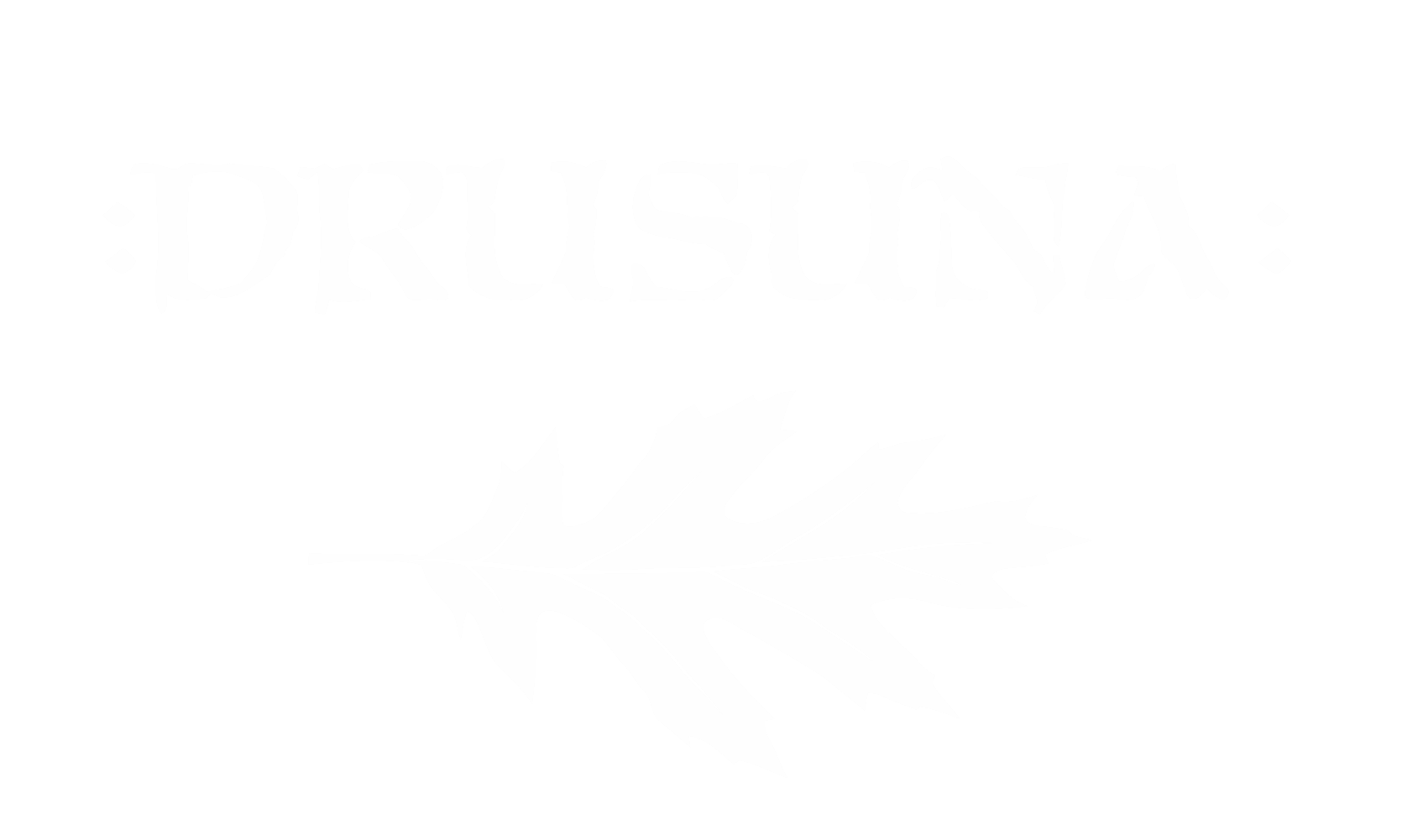 drusuna logo